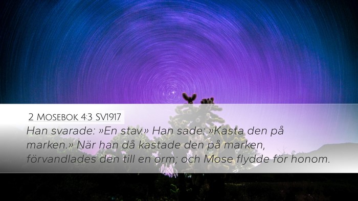 2 Mosebok 4:3 SV1917 Desktop Wallpaper - Han svarade: »En stav.» Han sade: »Kasta den - Desktop Bible Verse Wallpaper