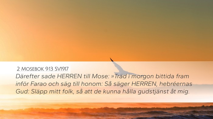 2 Mosebok 9:13 SV1917 Bible Verse Image