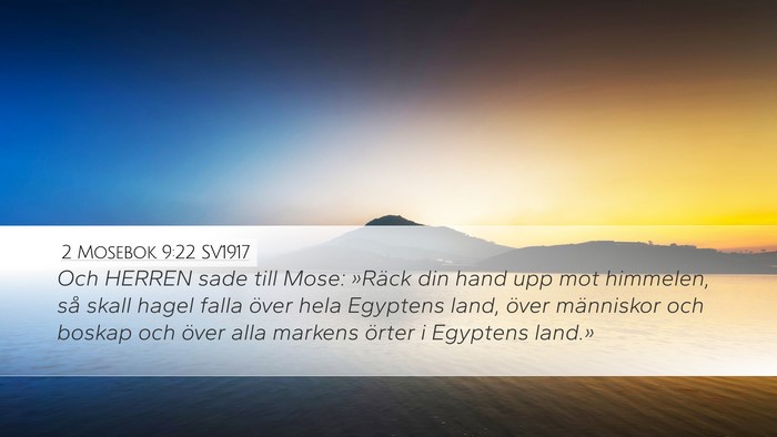 2 Mosebok 9:22 SV1917 Bible Verse Image