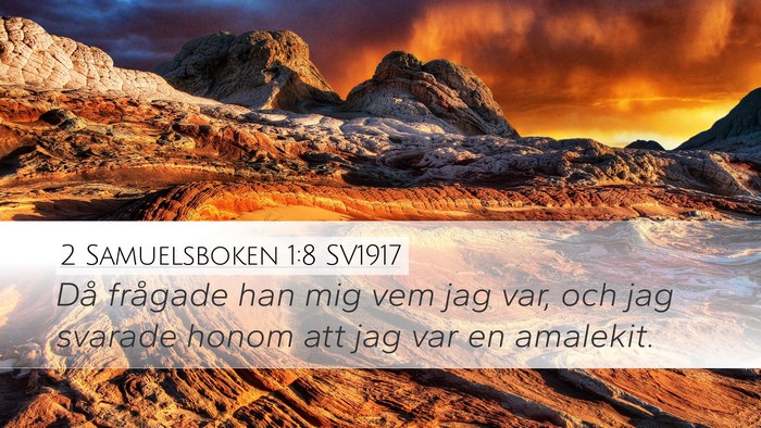 2 Samuelsboken 1:8 SV1917 Bible Verse Image