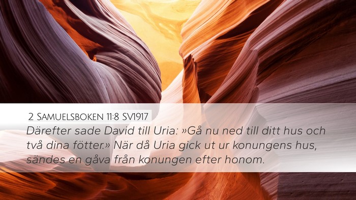 2 Samuelsboken 11:8 SV1917 Bible Verse Image