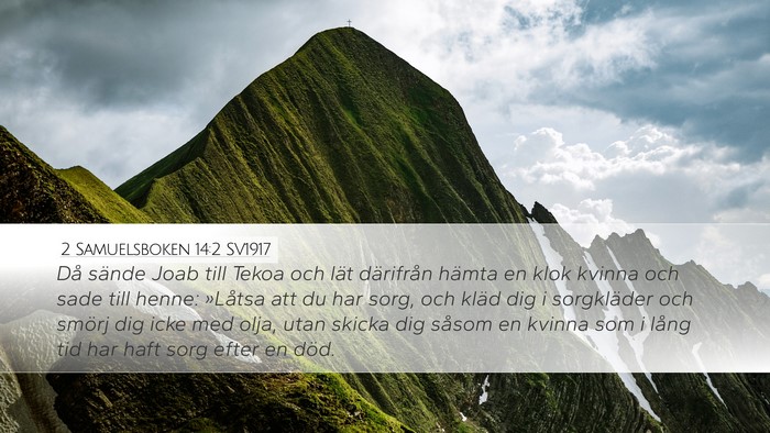2 Samuelsboken 14:2 SV1917 Bible Verse Image