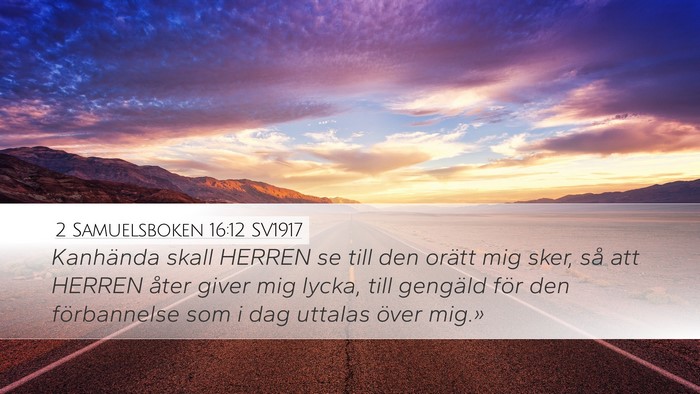 2 Samuelsboken 16:12 SV1917 Bible Verse Image