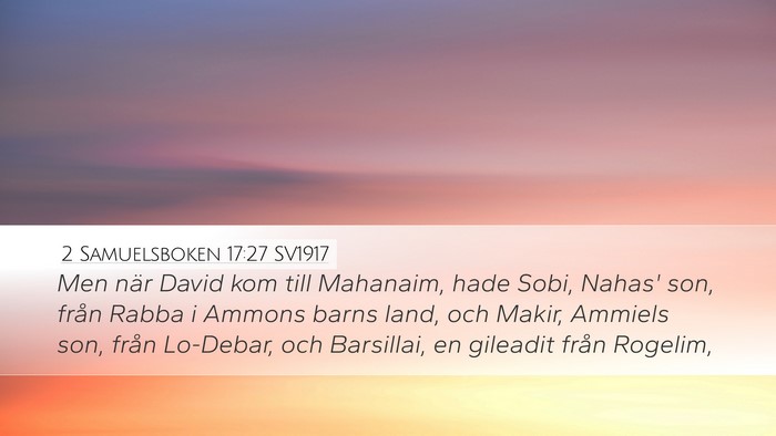 2 Samuelsboken 17:27 SV1917 Bible Verse Image