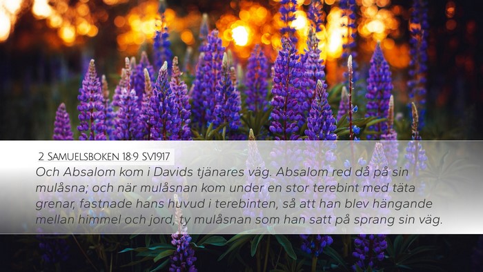2 Samuelsboken 18:9 SV1917 Bible Verse Image