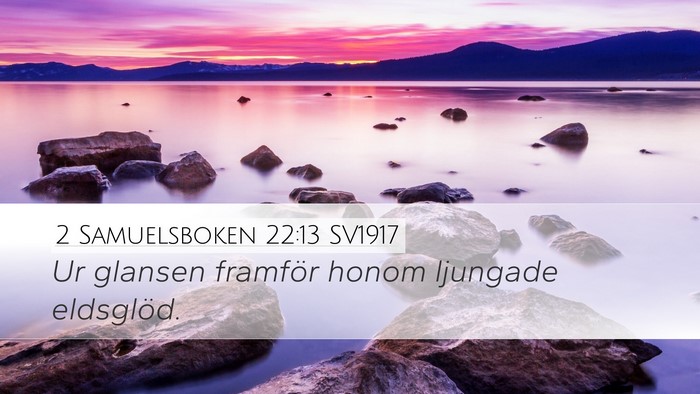 2 Samuelsboken 22:13 SV1917 Bible Verse Image