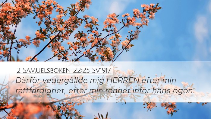 2 Samuelsboken 22:25 SV1917 Bible Verse Image