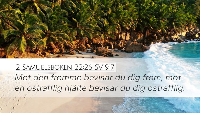 2 Samuelsboken 22:26 SV1917 Bible Verse Image