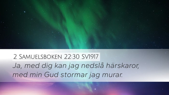 2 Samuelsboken 22:30 SV1917 Bible Verse Image