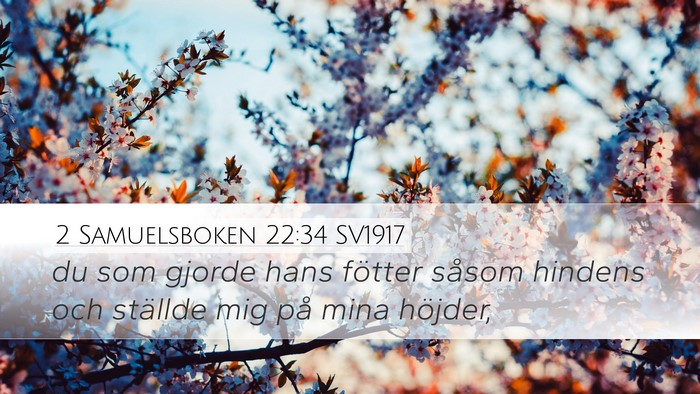 2 Samuelsboken 22:34 SV1917 Bible Verse Image