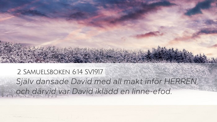 2 Samuelsboken 6:14 SV1917 Bible Verse Image