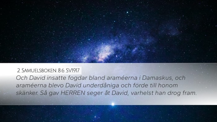 2 Samuelsboken 8:6 SV1917 Bible Verse Image