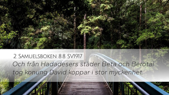 2 Samuelsboken 8:8 SV1917 Desktop Wallpaper - Och från Hadadesers städer Beta och Berotai tog - Desktop Bible Verse Wallpaper