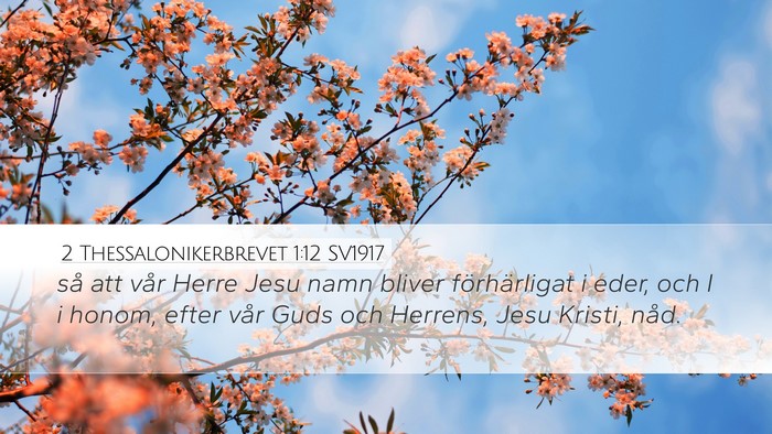 2 Thessalonikerbrevet 1:12 SV1917 Bible Verse Image