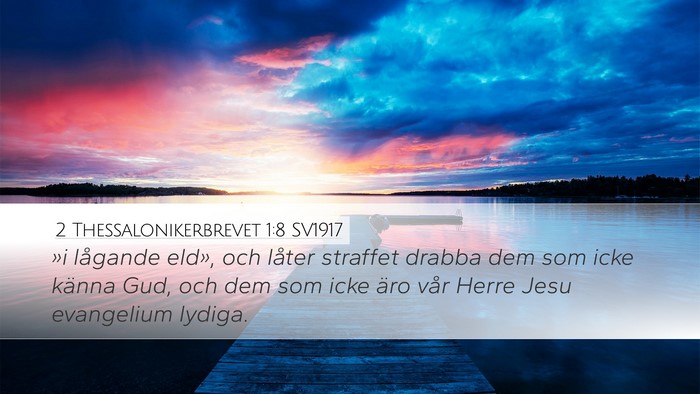 2 Thessalonikerbrevet 1:8 SV1917 Bible Verse Image