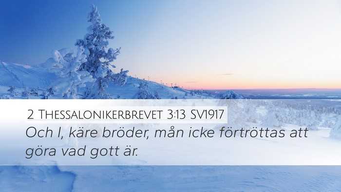 2 Thessalonikerbrevet 3:13 SV1917 Bible Verse Image