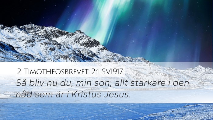 2 Timotheosbrevet 2:1 SV1917 Bible Verse Image