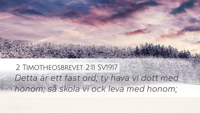 2 Timotheosbrevet 2:11 SV1917 Desktop Wallpaper - Detta är ett fast ord; ty hava vi dött med - Desktop Bible Verse Wallpaper