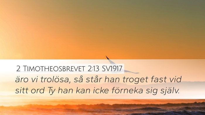 2 Timotheosbrevet 2:13 SV1917 Bible Verse Image