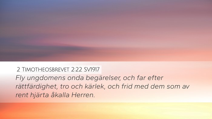 2 Timotheosbrevet 2:22 SV1917 Bible Verse Image