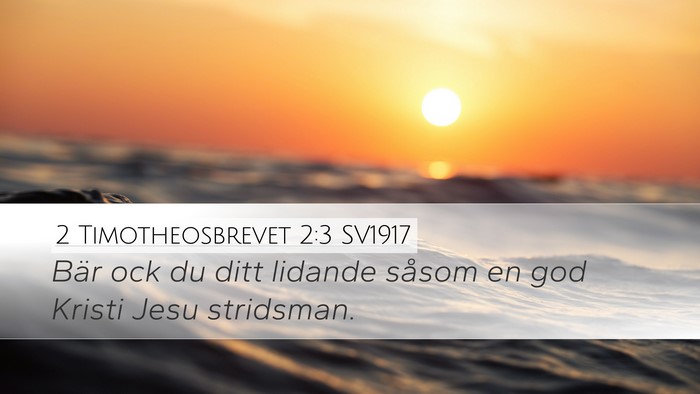2 Timotheosbrevet 2:3 SV1917 Desktop Wallpaper - Bär ock du ditt lidande såsom en god Kristi - Desktop Bible Verse Wallpaper