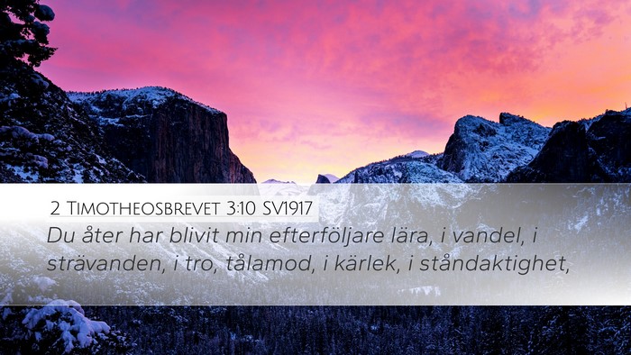 2 Timotheosbrevet 3:10 SV1917 Bible Verse Image