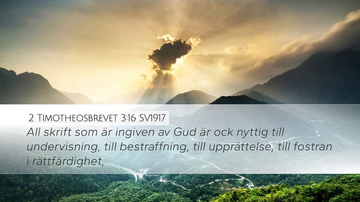 2 Timotheosbrevet 3:16 SV1917 Bible Verse Image