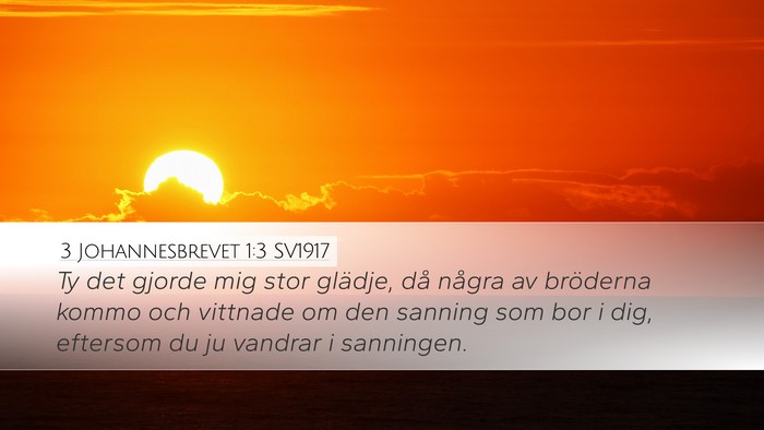 3 Johannesbrevet 1:3 SV1917 Bible Verse Image