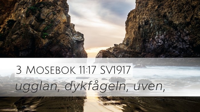 3 Mosebok 11:17 SV1917 Desktop Wallpaper - ugglan, dykfågeln, - Desktop Bible Verse Wallpaper