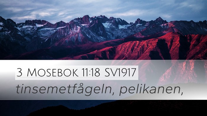 3 Mosebok 11:18 SV1917 Desktop Wallpaper - tinsemetfågeln, - Desktop Bible Verse Wallpaper