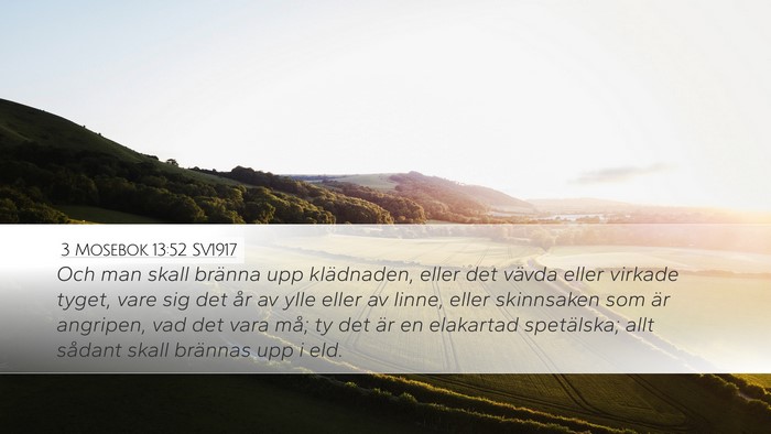 3 Mosebok 13:52 SV1917 Desktop Wallpaper - Och man skall bränna upp klädnaden, eller det - Desktop Bible Verse Wallpaper