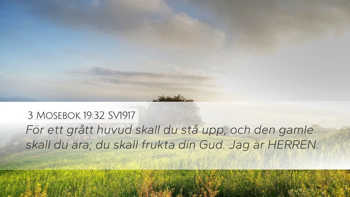 3 Mosebok 19:32 SV1917 Bible Verse Image