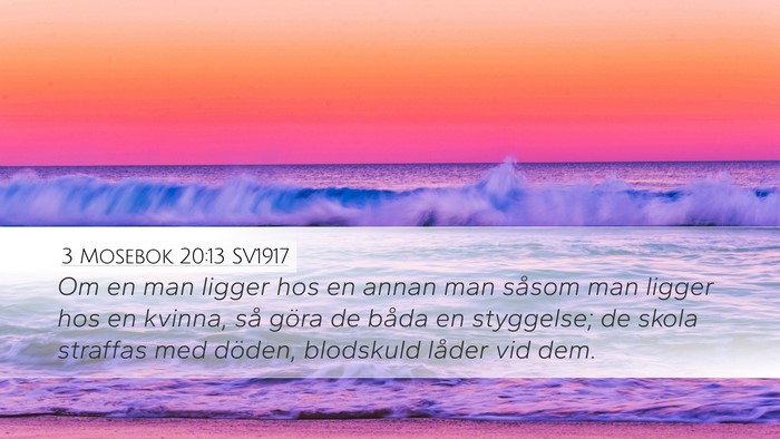 3 Mosebok 20:13 SV1917 Bible Verse Image