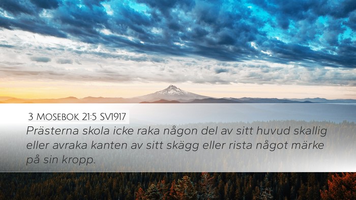 3 Mosebok 21:5 SV1917 Bible Verse Image