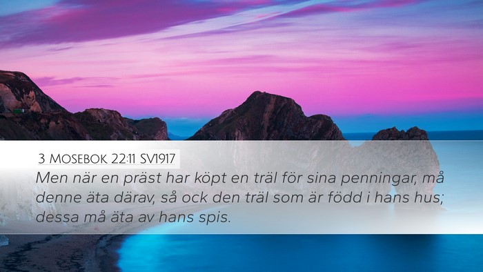 3 Mosebok 22:11 SV1917 Desktop Wallpaper - Men när en präst har köpt en träl för sina - Desktop Bible Verse Wallpaper