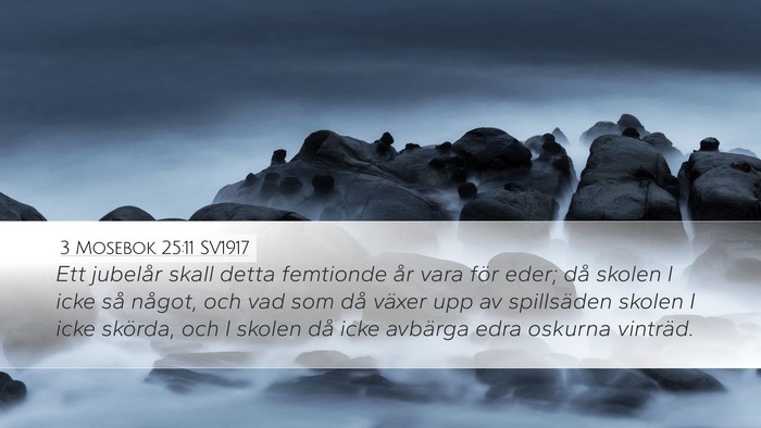 3 Mosebok 25:11 SV1917 Desktop Wallpaper - Ett jubelår skall detta femtionde år vara för - Desktop Bible Verse Wallpaper