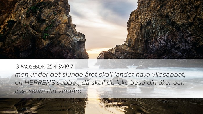 3 Mosebok 25:4 SV1917 Desktop Wallpaper - men under det sjunde året skall landet hava - Desktop Bible Verse Wallpaper