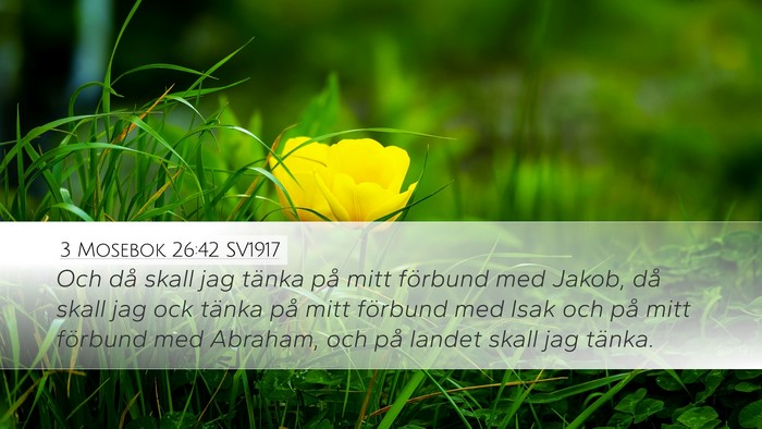 3 Mosebok 26:42 SV1917 Bible Verse Image