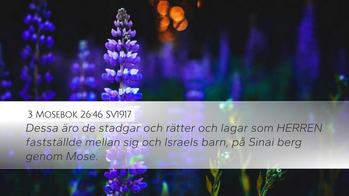 3 Mosebok 26:46 SV1917 Bible Verse Image