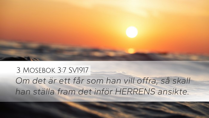 3 Mosebok 3:7 SV1917 Desktop Wallpaper - Om det är ett får som han vill offra, så skall - Desktop Bible Verse Wallpaper