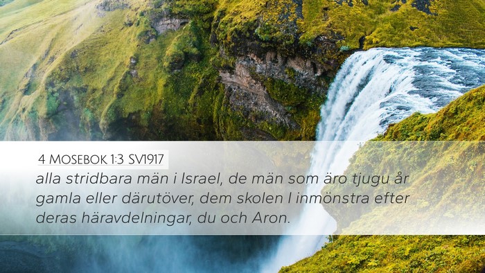 4 Mosebok 1:3 SV1917 Bible Verse Image
