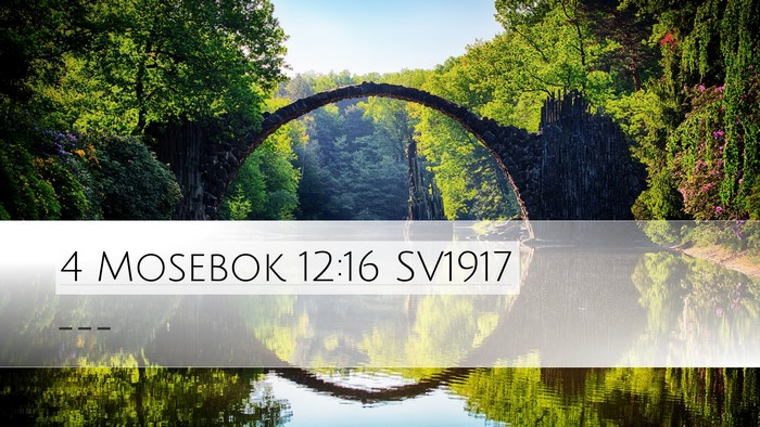 4 Mosebok 12:16 SV1917 Bible Verse Image