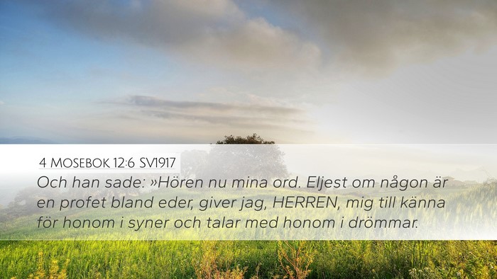 4 Mosebok 12:6 SV1917 Bible Verse Image