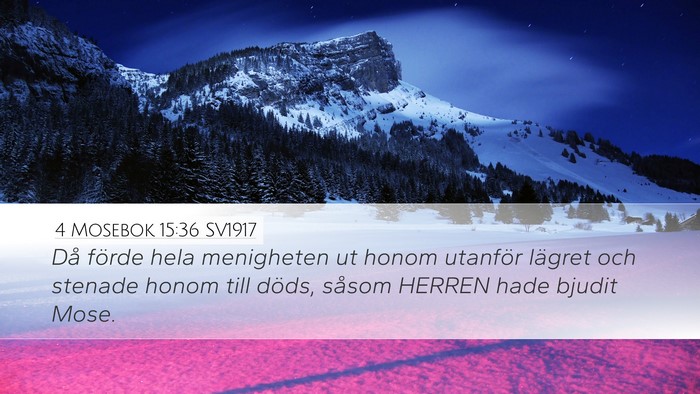 4 Mosebok 15:36 SV1917 Desktop Wallpaper - Då förde hela menigheten ut honom utanför - Desktop Bible Verse Wallpaper