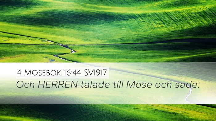 4 Mosebok 16:44 SV1917 Desktop Wallpaper - Och HERREN talade till Mose och - Desktop Bible Verse Wallpaper