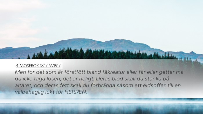 4 Mosebok 18:17 SV1917 Desktop Wallpaper - Men för det som är förstfött bland fäkreatur - Desktop Bible Verse Wallpaper