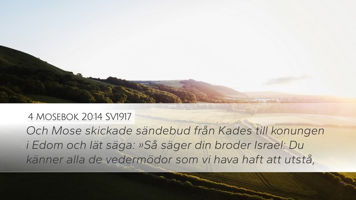 4 Mosebok 20:14 SV1917 Bible Verse Image