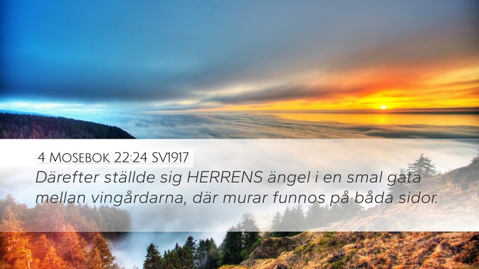 4 Mosebok 22:24 SV1917 Desktop Wallpaper - Därefter ställde sig HERRENS ängel i en smal - Desktop Bible Verse Wallpaper