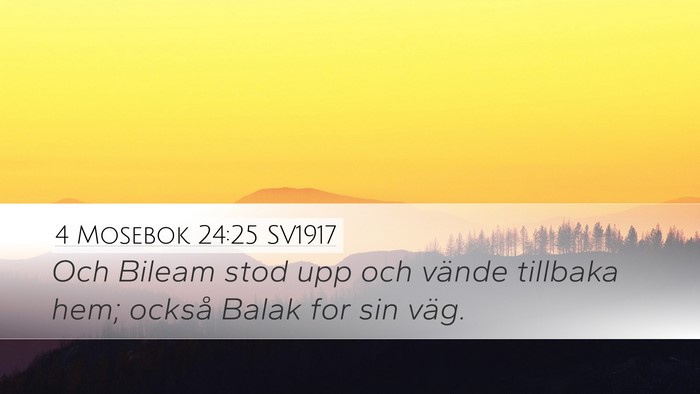 4 Mosebok 24:25 SV1917 Bible Verse Image