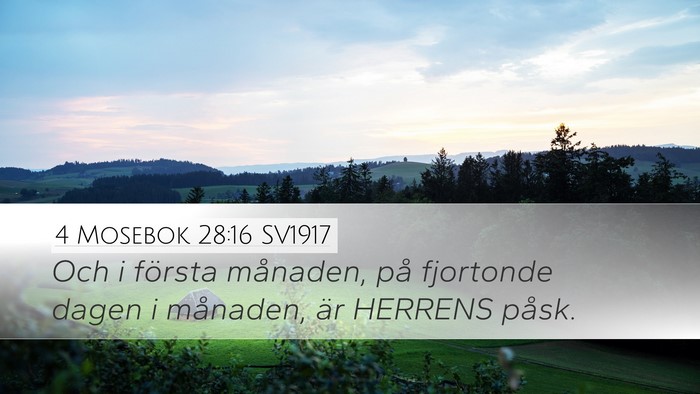 4 Mosebok 28:16 SV1917 Bible Verse Image